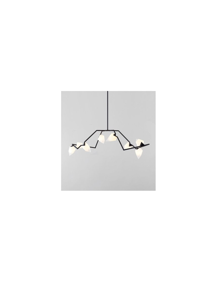 Seed 04 pendant lamp Roll & Hill black color front view Seed 04 pendant lamp Roll & Hill black color front view
