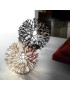 Coral table lamp Pallucco red and white color / black and white color side view