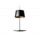 Illusion pendant lamp Northern lighting black color front view