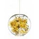 Tangle Globe pendant lamp Ingo Maurer gold color front view