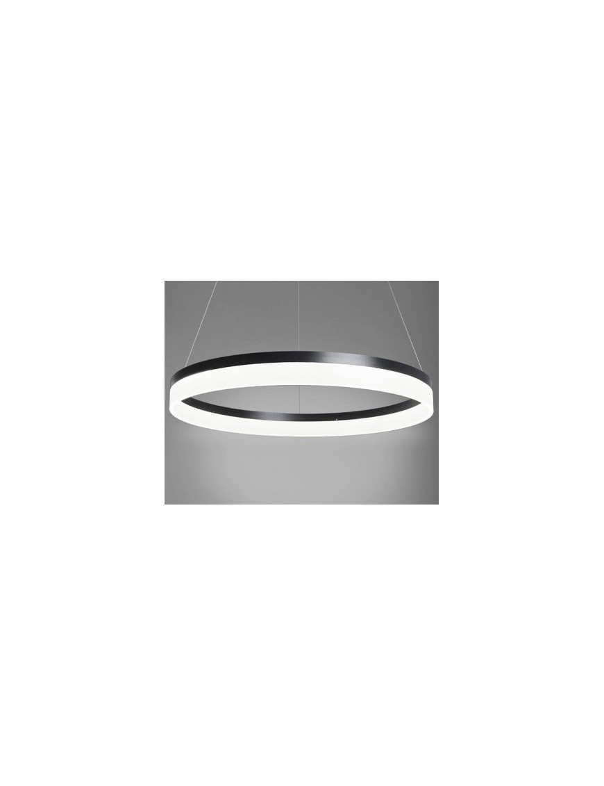Modern Circle Round LED pendant lamp design 1 Ring Modern Circle Round LED pendant lamp design 1 Ring